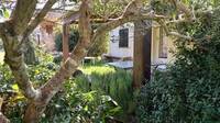 annonces immobiliere 2A